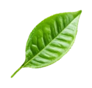 Slider Image7