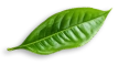 Slider Image6