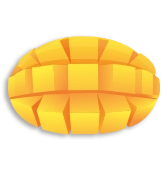 Slider Image1